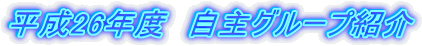 26Nx@O[vЉ 